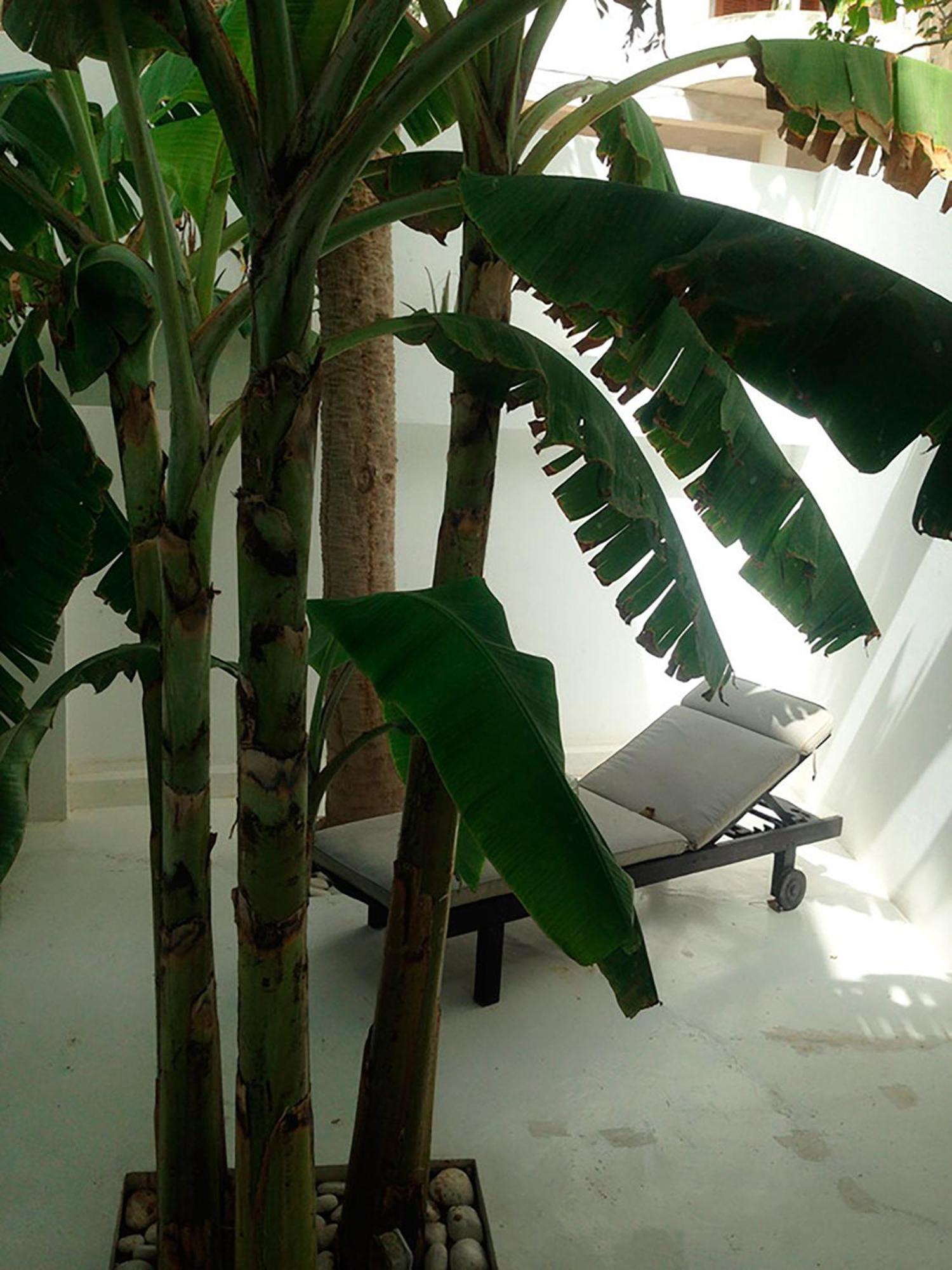 Casa Branca Hotel Mindelo Eksteriør billede
